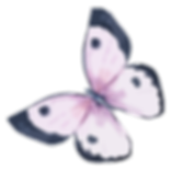 Watercolor Butterfly 5