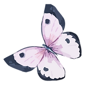 Watercolor Butterfly 5