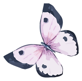 Watercolor Butterfly 5