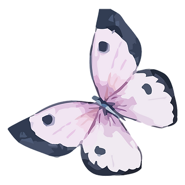 Watercolor Butterfly 5
