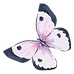 Watercolor Butterfly 5