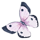 Watercolor Butterfly 5