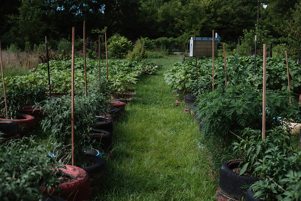 DSC_1311-1024x684.jpeg