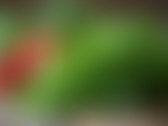 Natural Remedies: The Benefits of Herbal Products