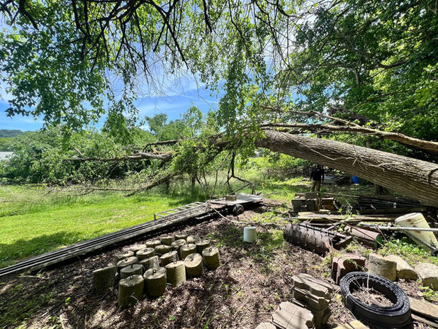 Partially uprooted storm-damaged tree suspended over equipment area during hazardous tree removal by Royal Tree Service