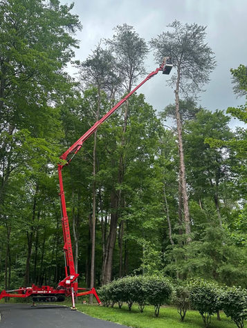 CMC spider lift fully extended removing approximately 90-foot tree during professional tree service in Scottsburg, Indiana