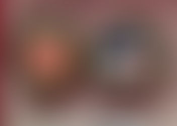 MFD29 'Challenge Coin' Fundraiser