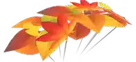 leaves.webp