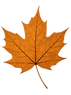 autumnleaf.png