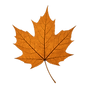 autumnleaf.png
