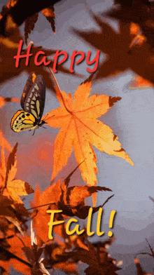 happy fall.gif
