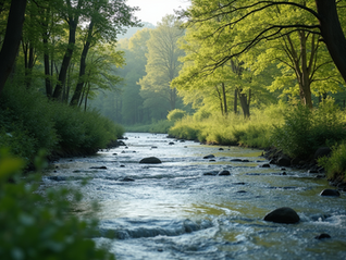 Is Trauma Healing Certification Right for You? 5 Questions to Ask Before You Sign Up