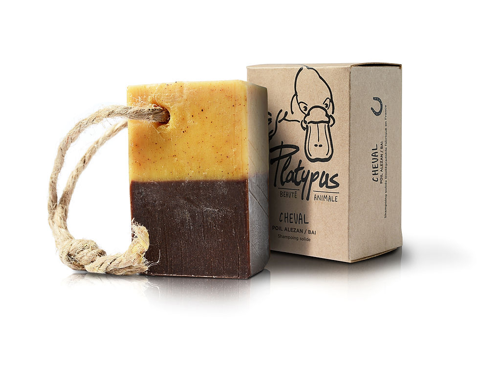 shampoing cheval poil alezan