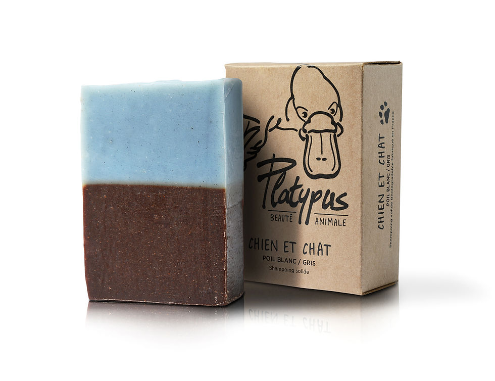 shampoing chien/chat poil clair