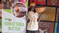 The Significance of Shea Butter to Rural Women in Okere