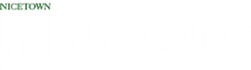 NT-logo.png
