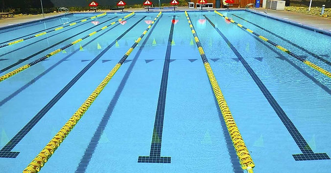 what-is-an-olymp-swimming-pool.jpg