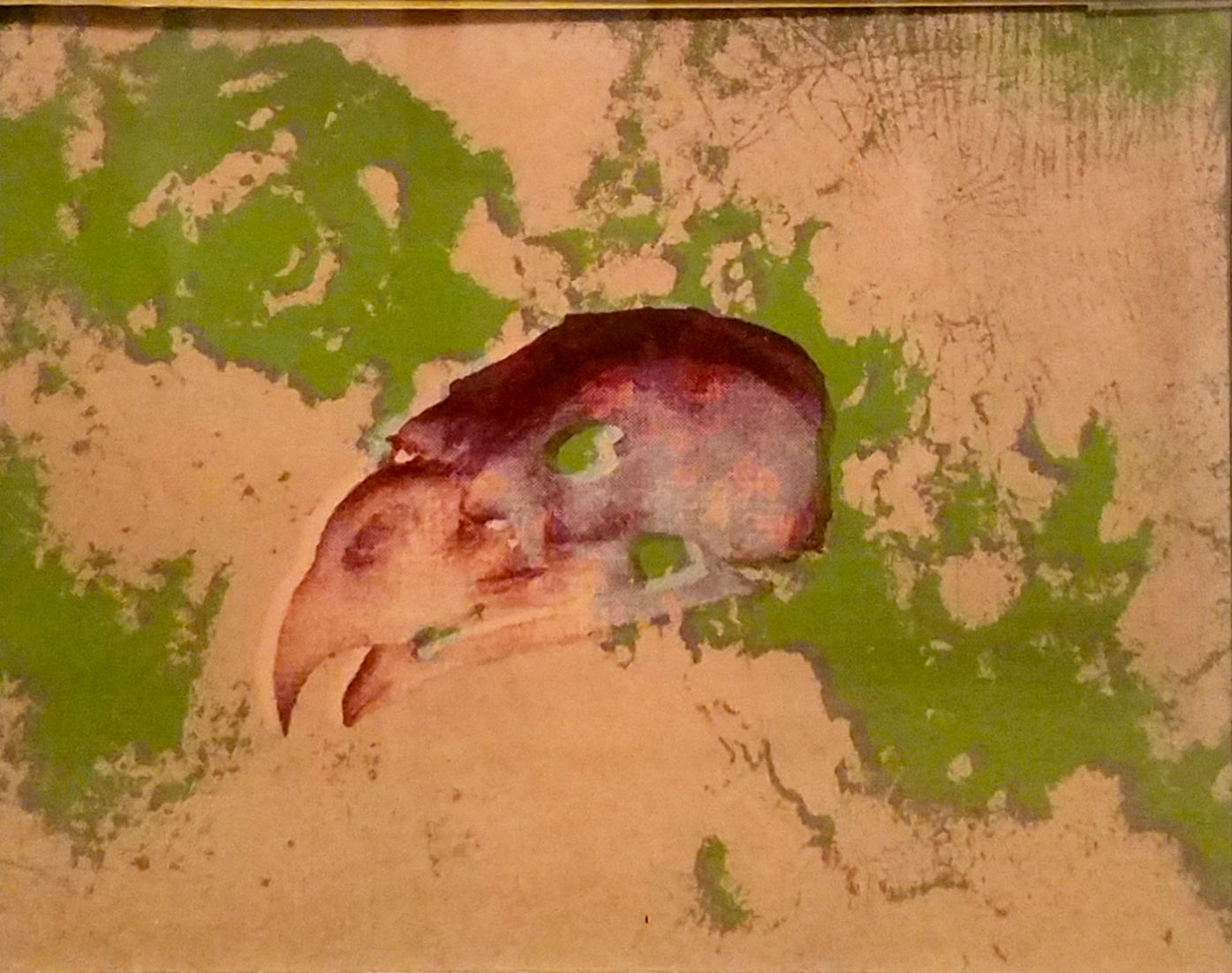 closeskull