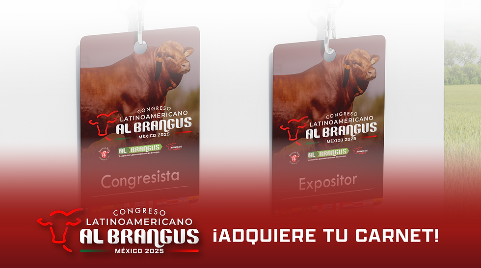 CARNET DILUIDO.png