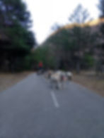 20240323_173040.jpg