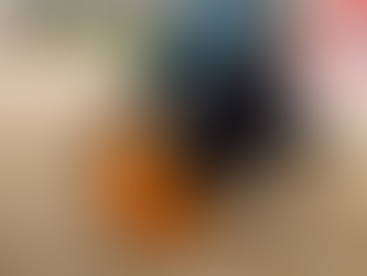 Discover Trusted Bull Terrier Rescue Services