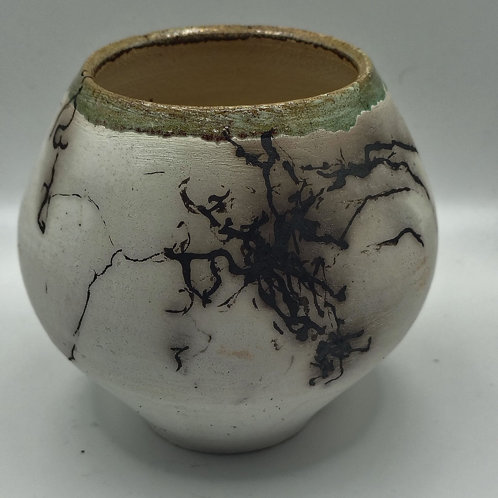 Thumbnail: Horsehair Raku Fired Pot