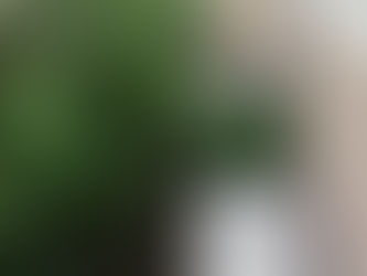 庭の雑草、ひと夏放置しちゃってませんか!?