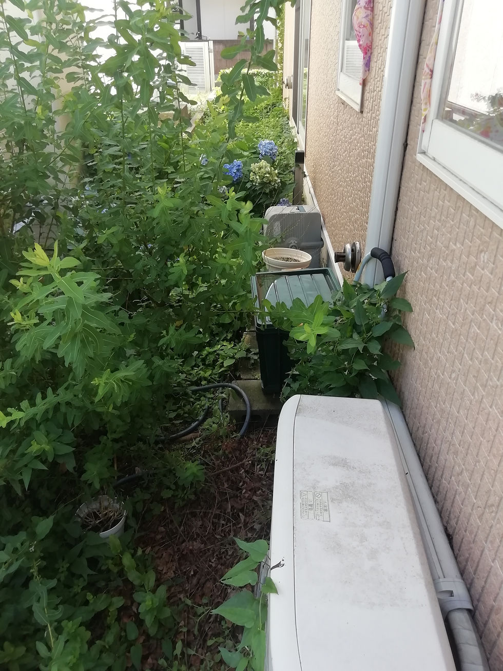 庭の雑草、ひと夏放置しちゃってませんか！？
