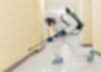 sanitize.jpeg