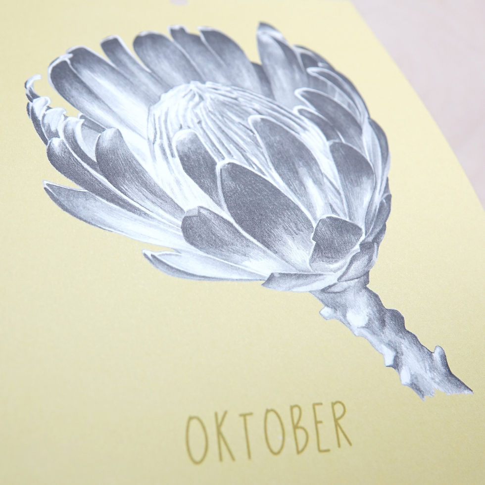 Miniatyrbilde: Fødselsdagskalender