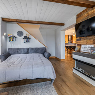 Spacious living room with river views and queen sofa sleeper