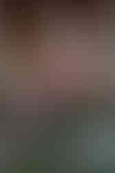 Abundant wedding flowers in soft pastel tones for luxury editorial styling