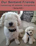 Our Sentient Friends -  Spring 2025 - front cover.jpg