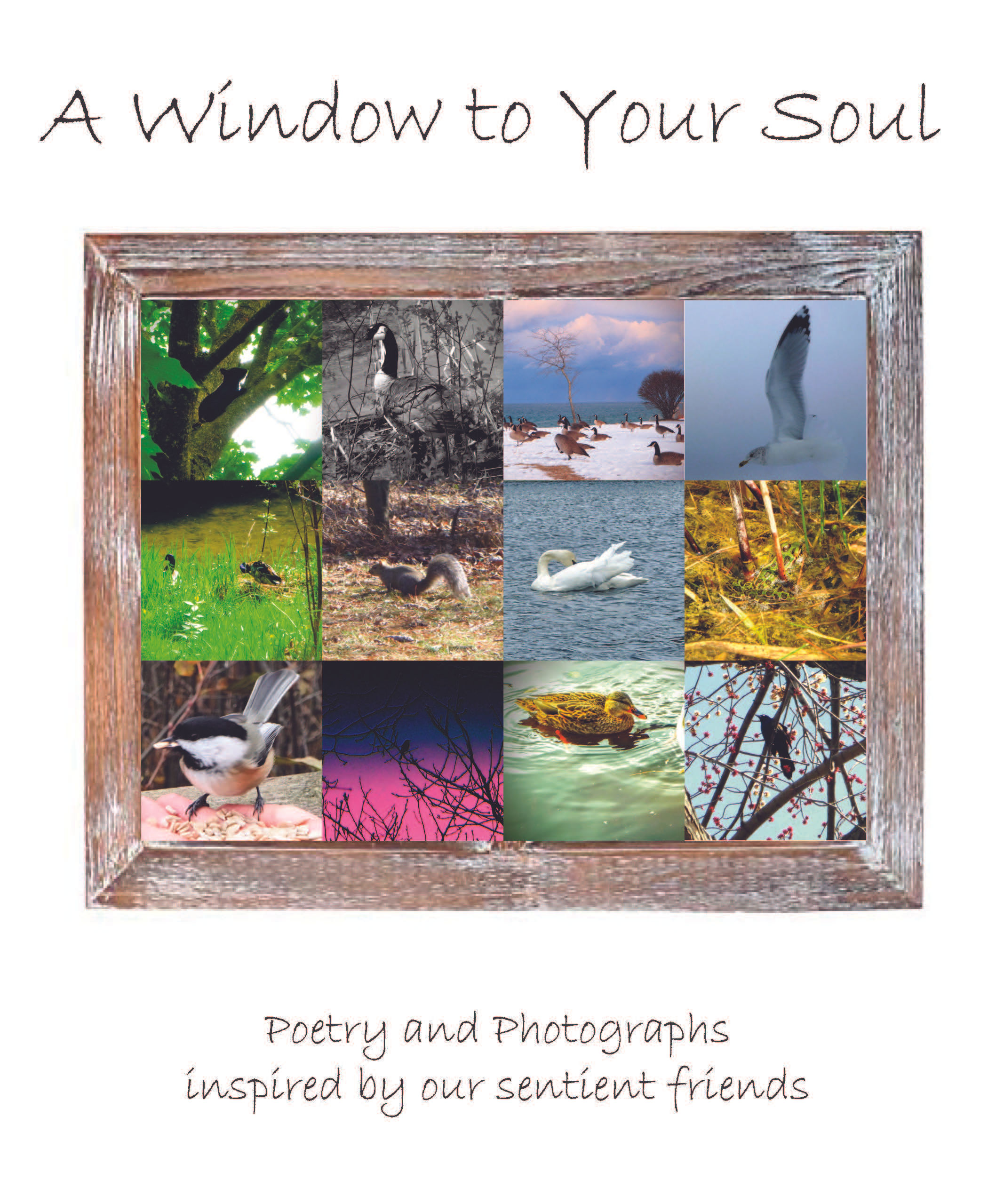 A Window to Your Soul