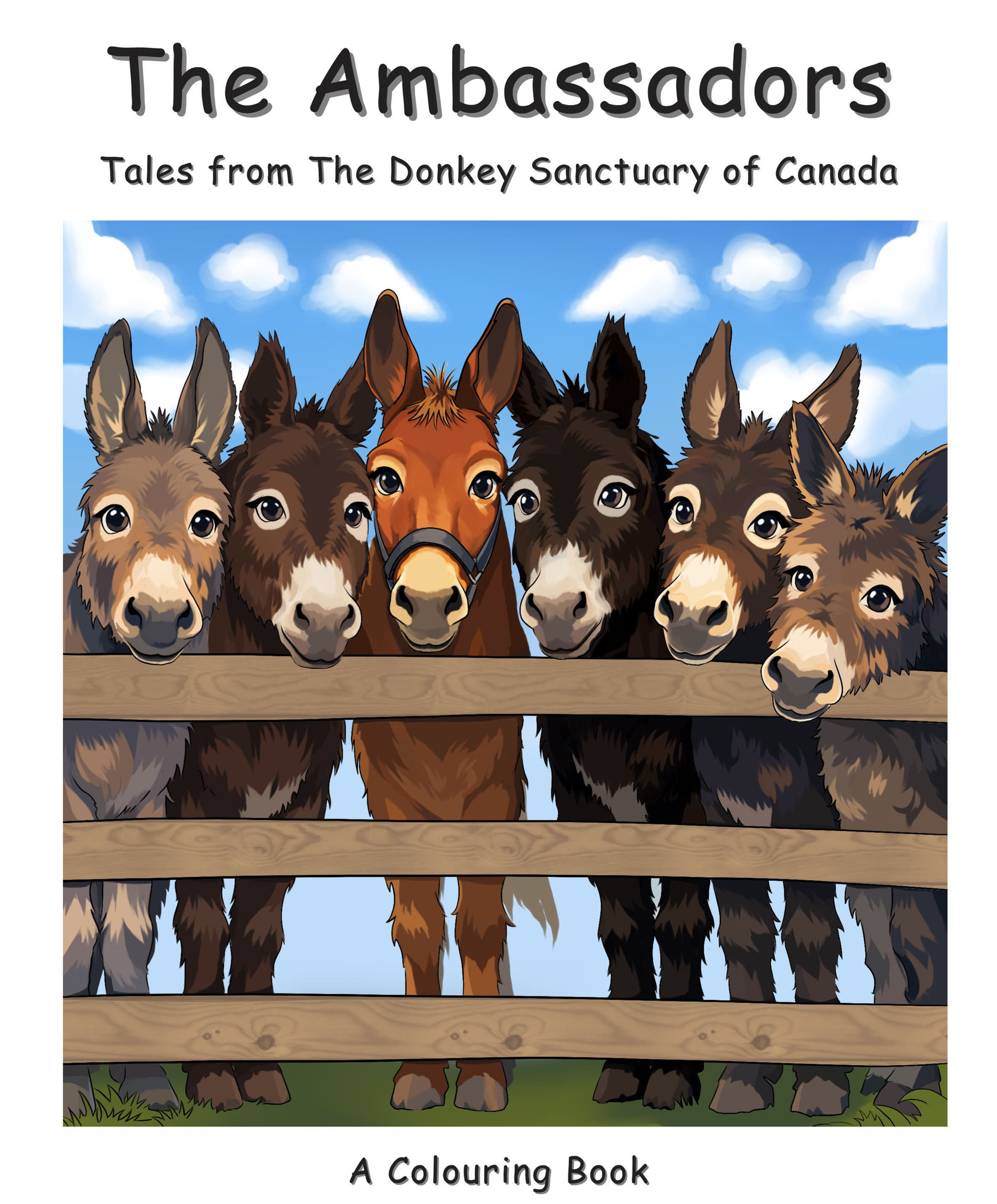 The Ambassadors Colouring Book