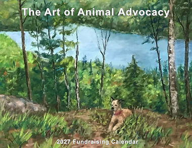 2027 Calendar - Front Cover.jpg