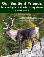 Our Sentient Friends -  Winter 2025 - front cover.jpg