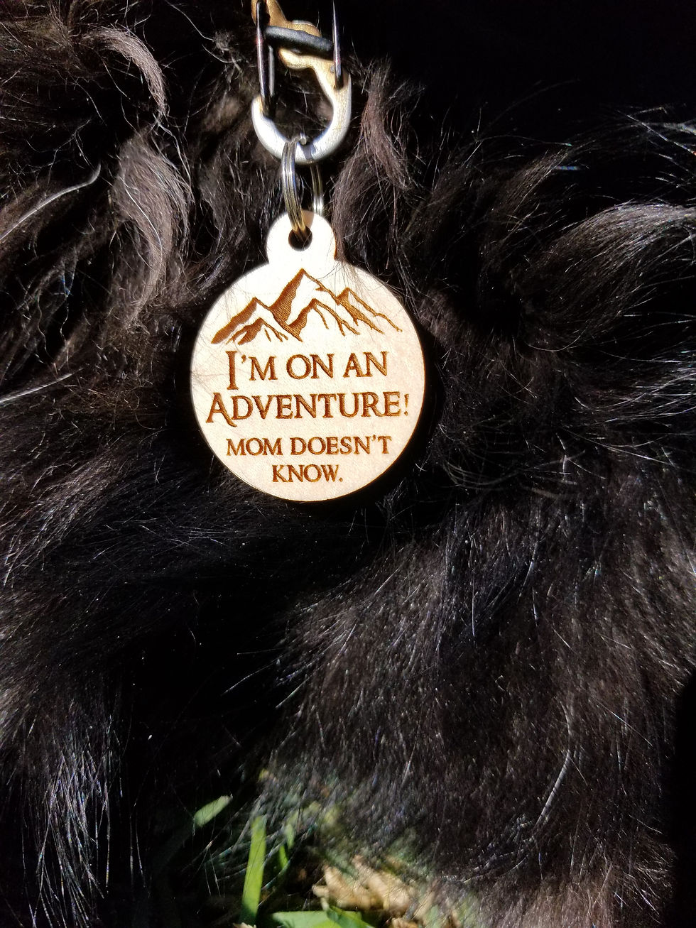 Thumbnail: On an Adventure Pet Tag