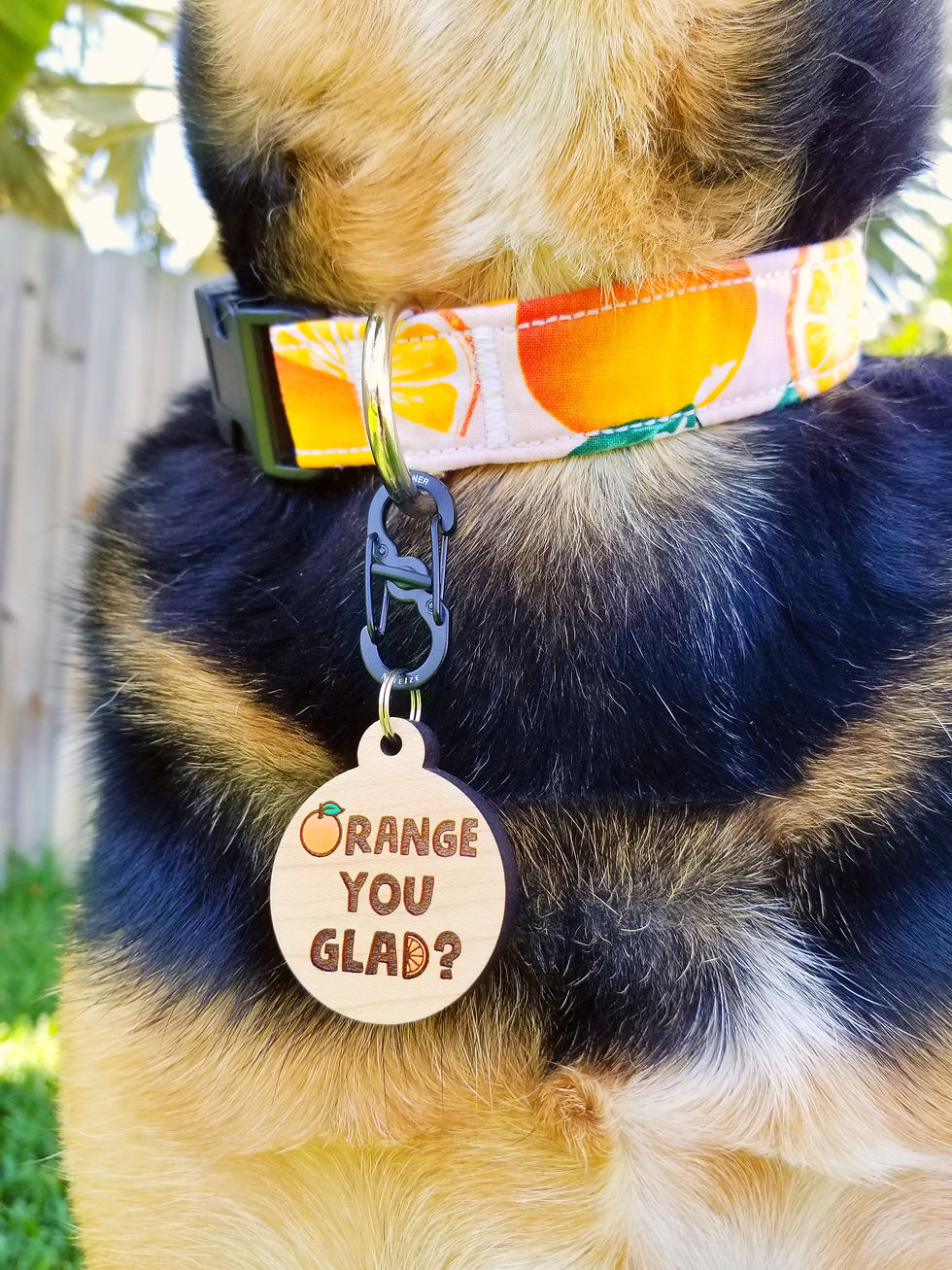 Thumbnail: Orange You Glad Pet Tag