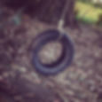 A tire swing