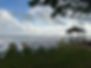 IMG_1272.jpeg