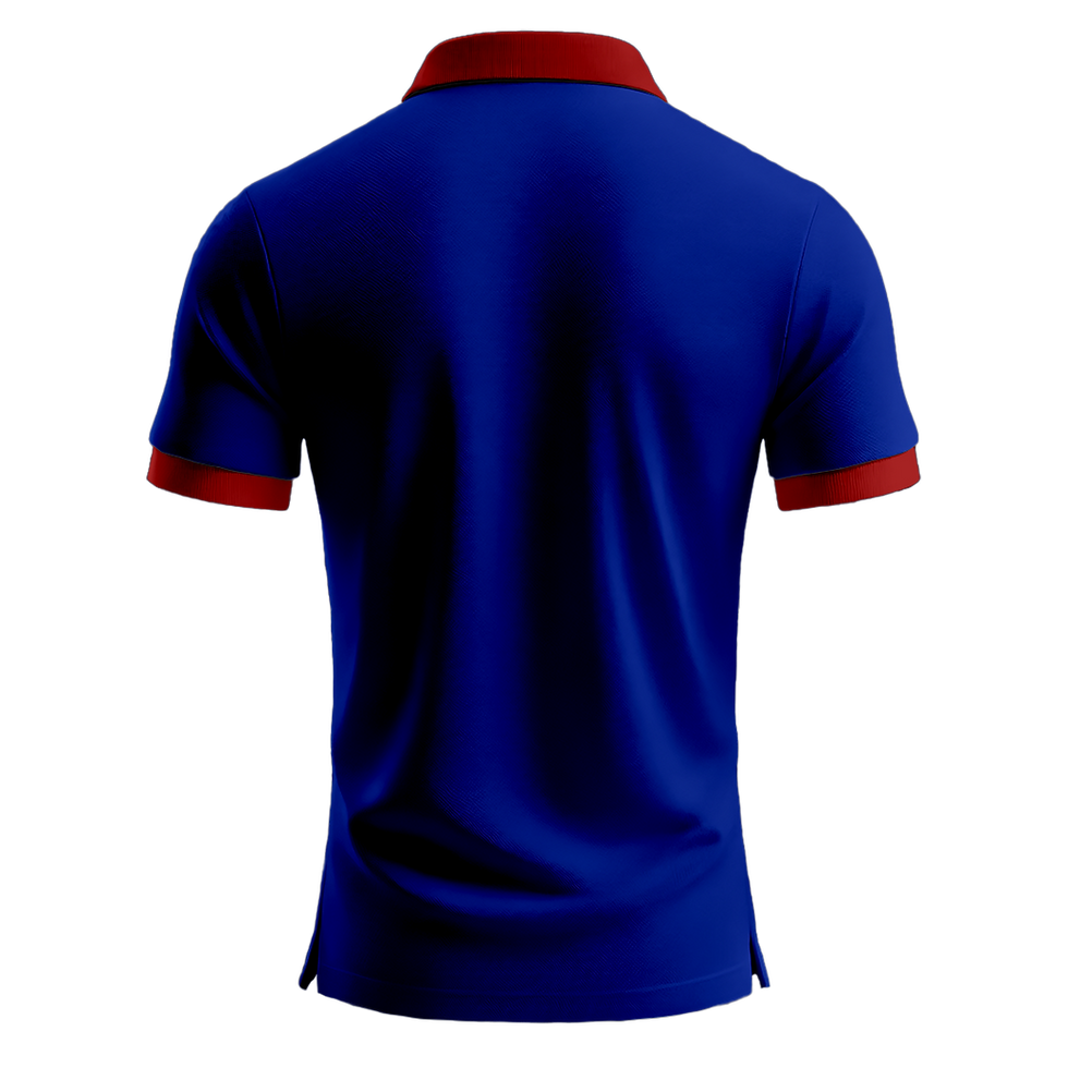 Küçük resim: Nazar Bordo Ribana Fermuarlı Polo Yaka T-Shirt (1202)