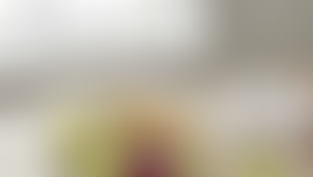 베트남과일, 저속노화 돕는 ‘슴슴한 맛’