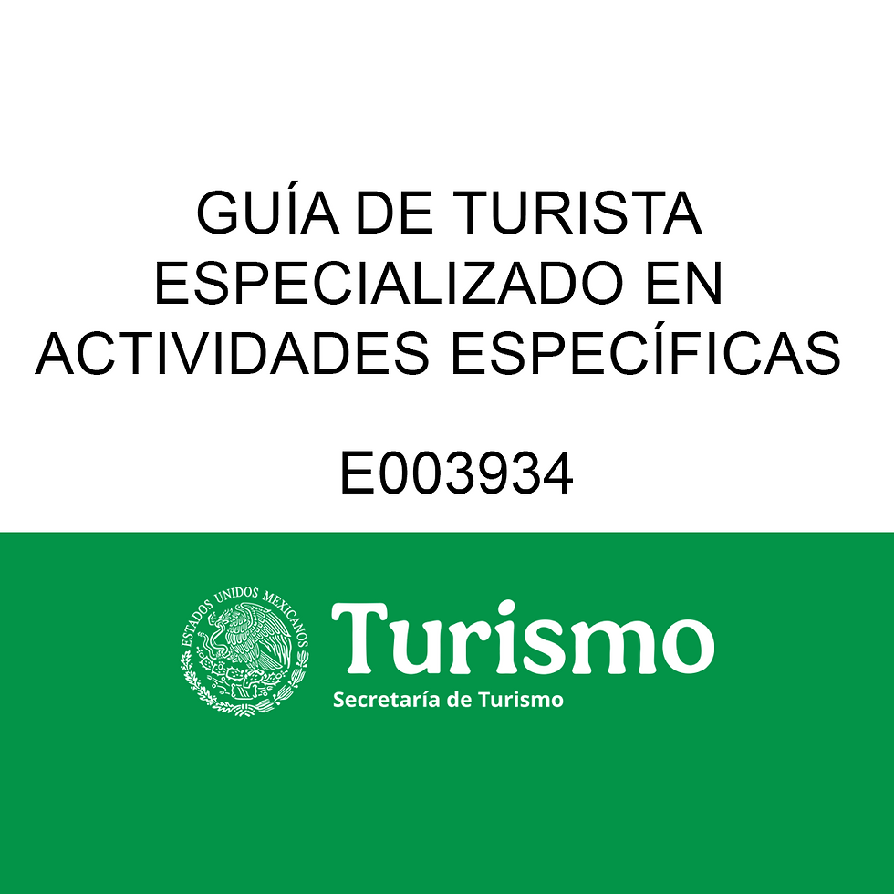 10 guía certificado