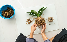 Bildschirmfoto 2025-07-23 um 12.52.42.png