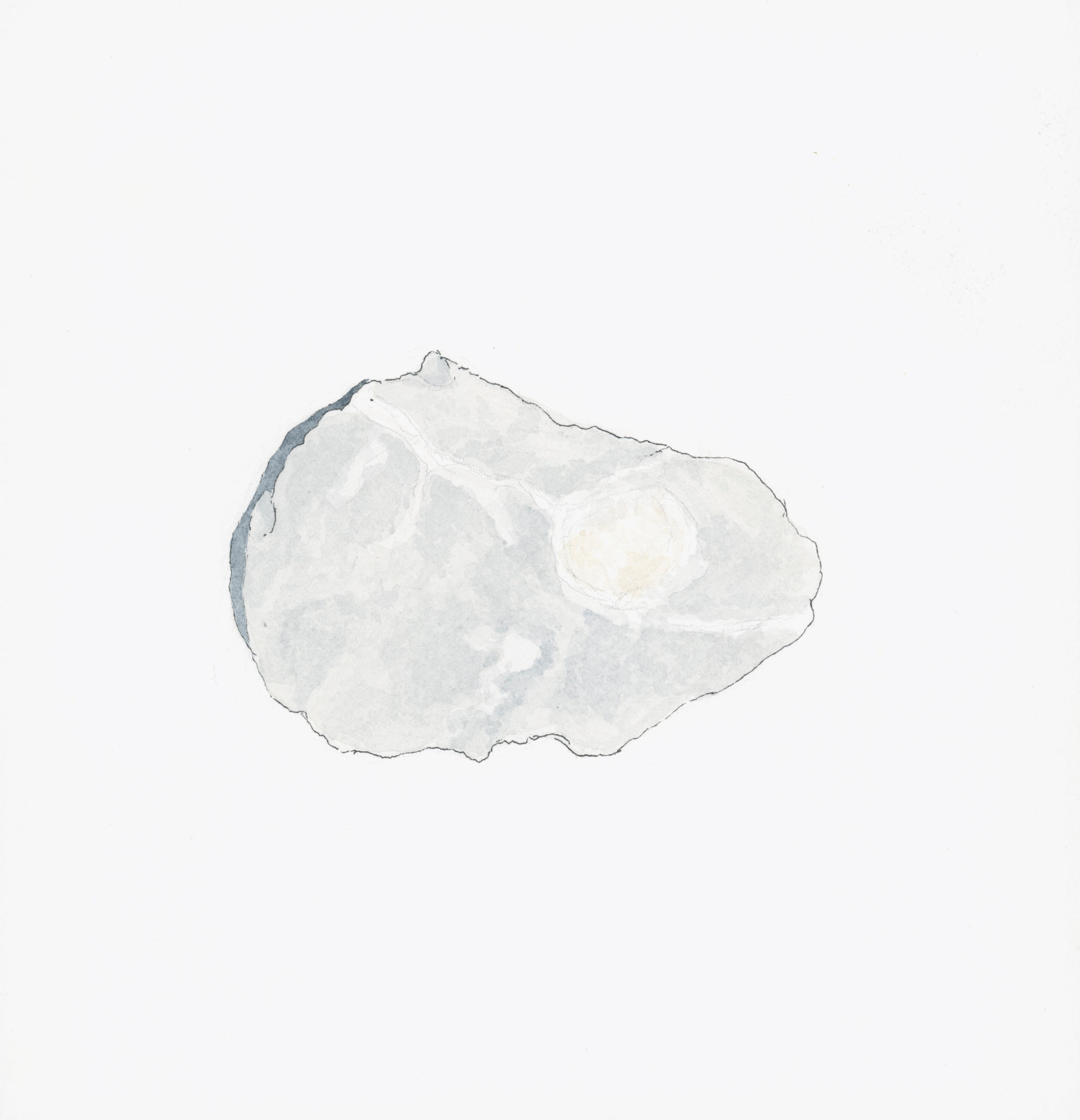 Fragments in the Memory of Place 11, 2021