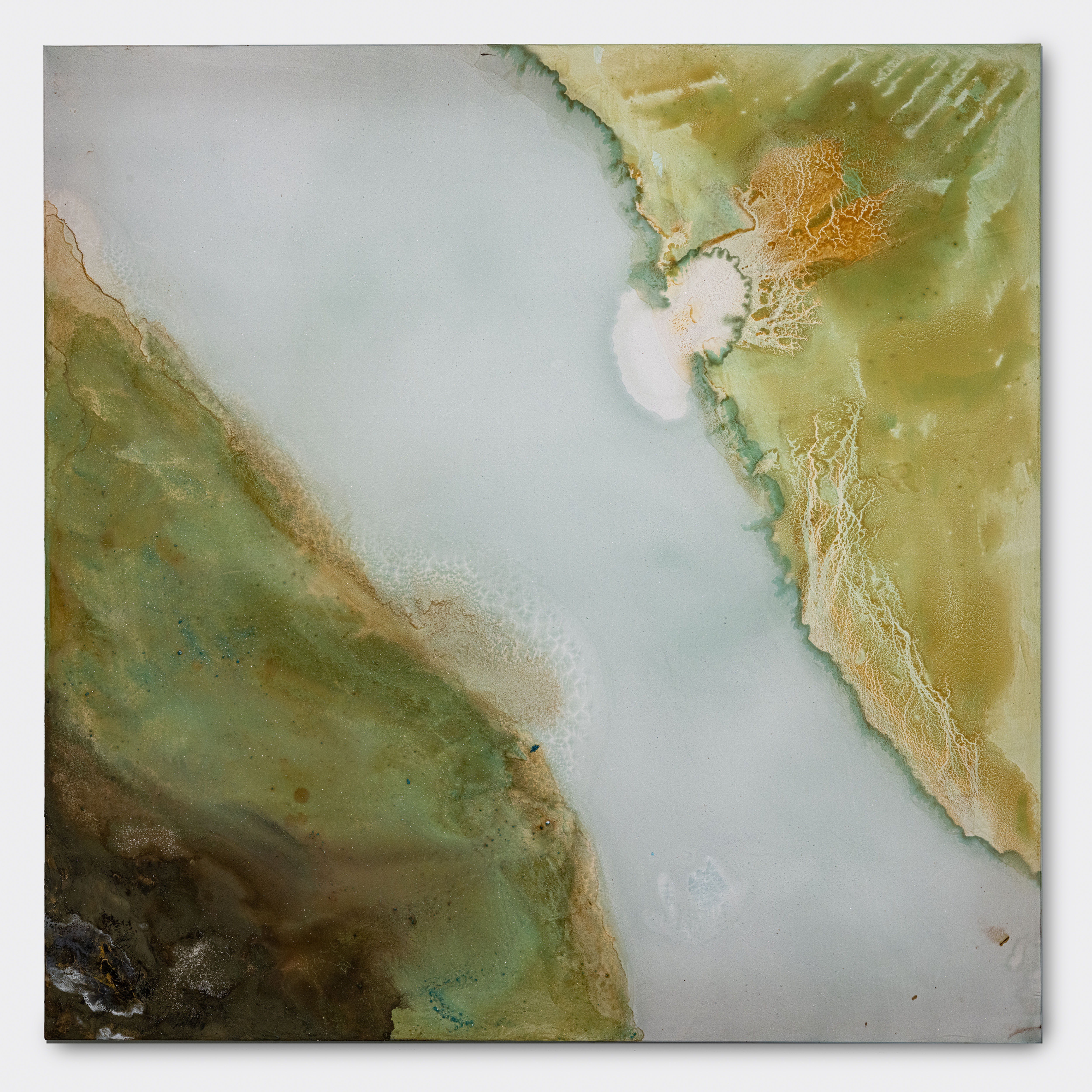 Fault Line / Vascular Divide, Version 4