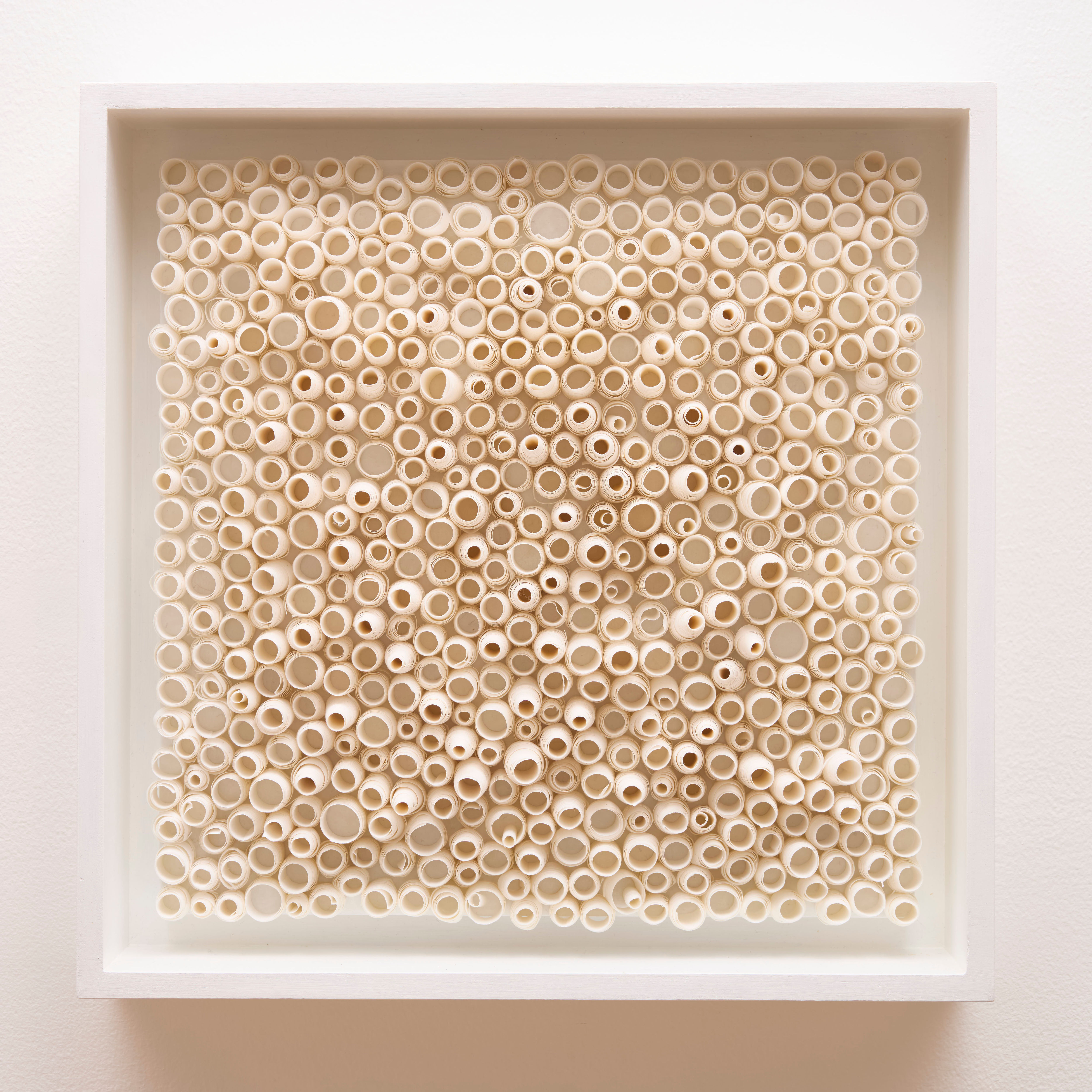 RN217- 3 1/2- 22, 2018