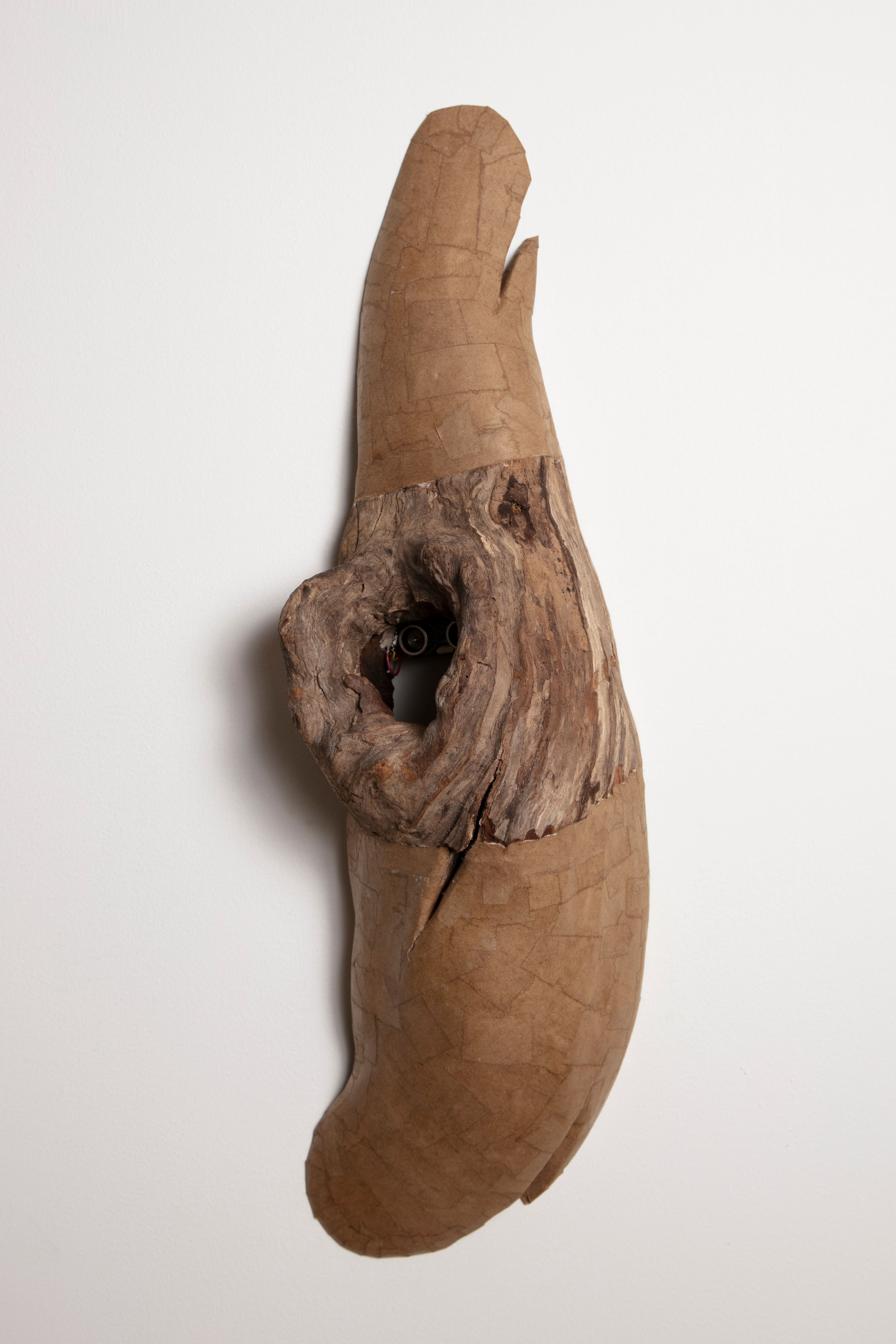 Secret History, 2022