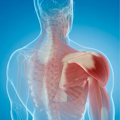 shoulder injury